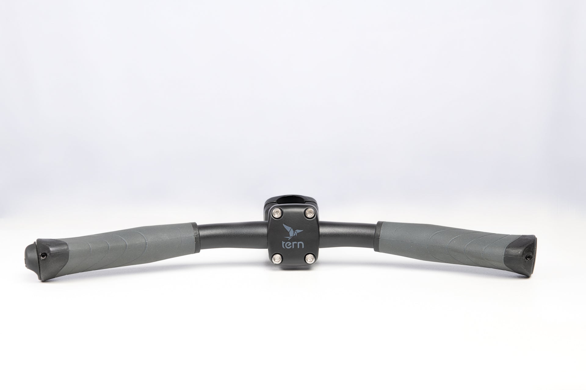 Handle for Rear Passenger